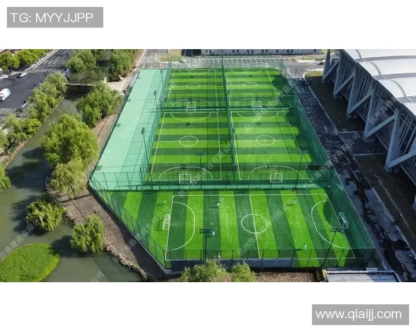 杭州乒乓球队的节奏与魅力探秘：从训练到比赛的全景观察